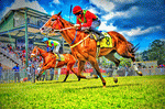 Horse Race Download Jigsaw Puzzle