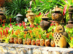 Tropical Garden Download Jigsaw Puzzle