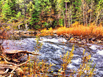 River, Yosemite Download Jigsaw Puzzle