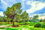 Park, Cyprus Download Jigsaw Puzzle