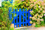 Blue Gate Download Jigsaw Puzzle