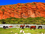 Horses, Russia Download Jigsaw Puzzle