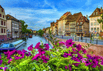 Flowers, Strasbourg Download Jigsaw Puzzle