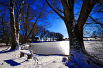 Winter Lake Download Jigsaw Puzzle