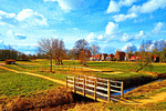 Field, Holland Download Jigsaw Puzzle