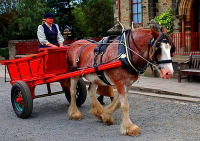 Horse Cart, England Download Jigsaw Puzzle