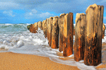 Beach Download Jigsaw Puzzle