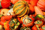 Fall Harvest Download Jigsaw Puzzle