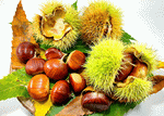 Chestnuts Download Jigsaw Puzzle