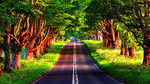 Road Download Jigsaw Puzzle