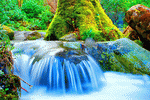Waterfall, Germany Download Jigsaw Puzzle