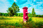 Red Hydrant Download Jigsaw Puzzle