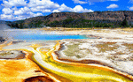 Yellowstone Park, Wyoming Download Jigsaw Puzzle