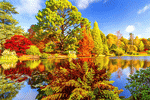Sheffield Park, Sussex Download Jigsaw Puzzle