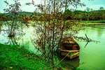 River Download Jigsaw Puzzle