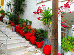 Stairs, Lesbos Download Jigsaw Puzzle