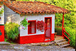 House, Colombia Download Jigsaw Puzzle