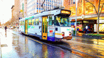 Tram, Australia Download Jigsaw Puzzle