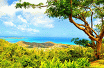 Caribbean View Download Jigsaw Puzzle