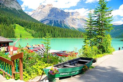 Boats, Canada Download Jigsaw Puzzle