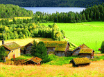 Meadow, Norway Download Jigsaw Puzzle