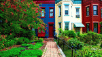 Row Houses, Washington DC Download Jigsaw Puzzle