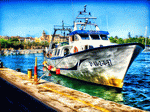 Boat, Mallorca Download Jigsaw Puzzle