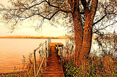 Lake Constance Download Jigsaw Puzzle