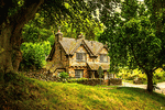 Forest House Download Jigsaw Puzzle