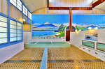 Public Bathhouse, Tokyo Download Jigsaw Puzzle