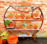 Garden Pots Download Jigsaw Puzzle