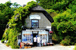 Shop, England Download Jigsaw Puzzle