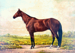 Horse Painting Download Jigsaw Puzzle