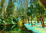 Winter Stream Download Jigsaw Puzzle
