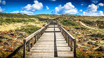 Wooden Walkway Download Jigsaw Puzzle