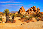 Mojave Desert Download Jigsaw Puzzle
