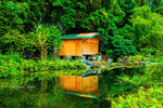 Lake House Download Jigsaw Puzzle