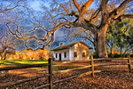 House, California Download Jigsaw Puzzle