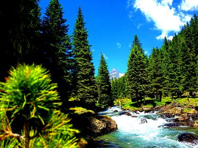 River, Austria Download Jigsaw Puzzle