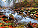 River, Poland Download Jigsaw Puzzle
