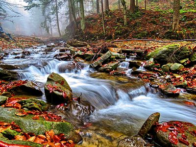 River, Poland Download Jigsaw Puzzle