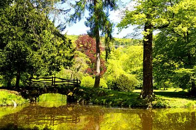 Park Bridge Download Jigsaw Puzzle