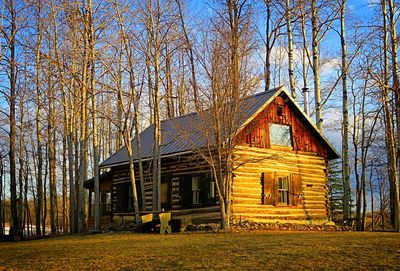 Log Cabin Download Jigsaw Puzzle