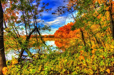 Autumn River Download Jigsaw Puzzle