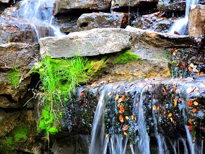 Waterfall Download Jigsaw Puzzle