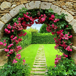 Flowers Download Jigsaw Puzzle