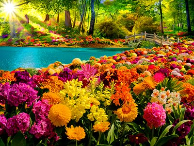 Flowers Download Jigsaw Puzzle