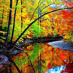 Autumn River Download Jigsaw Puzzle