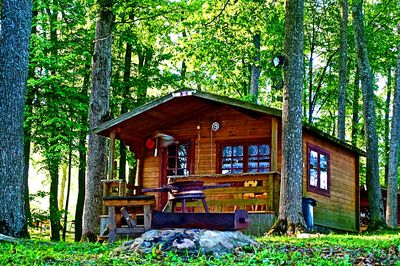 Mountain Cabin Download Jigsaw Puzzle