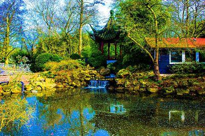 Chinese Garden Download Jigsaw Puzzle